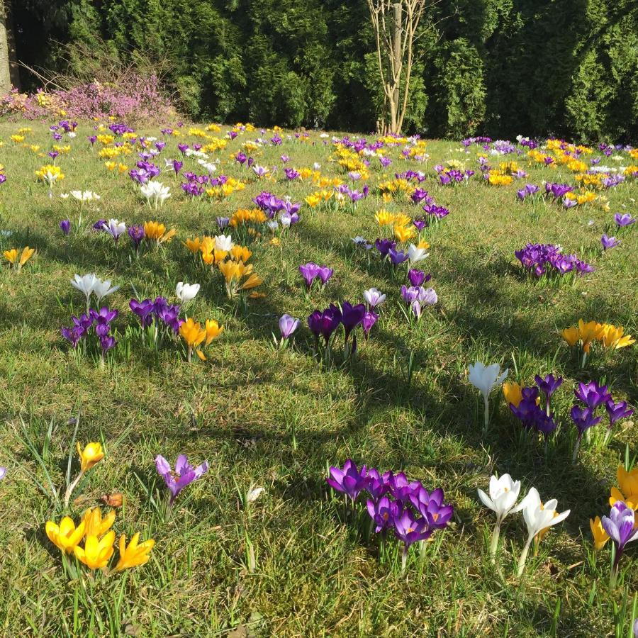 Ferienwohnungen Am Feldrain - Gornau Im Erzgebirge Zschopau Εξωτερικό φωτογραφία